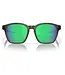Oakley Shackle Glasses