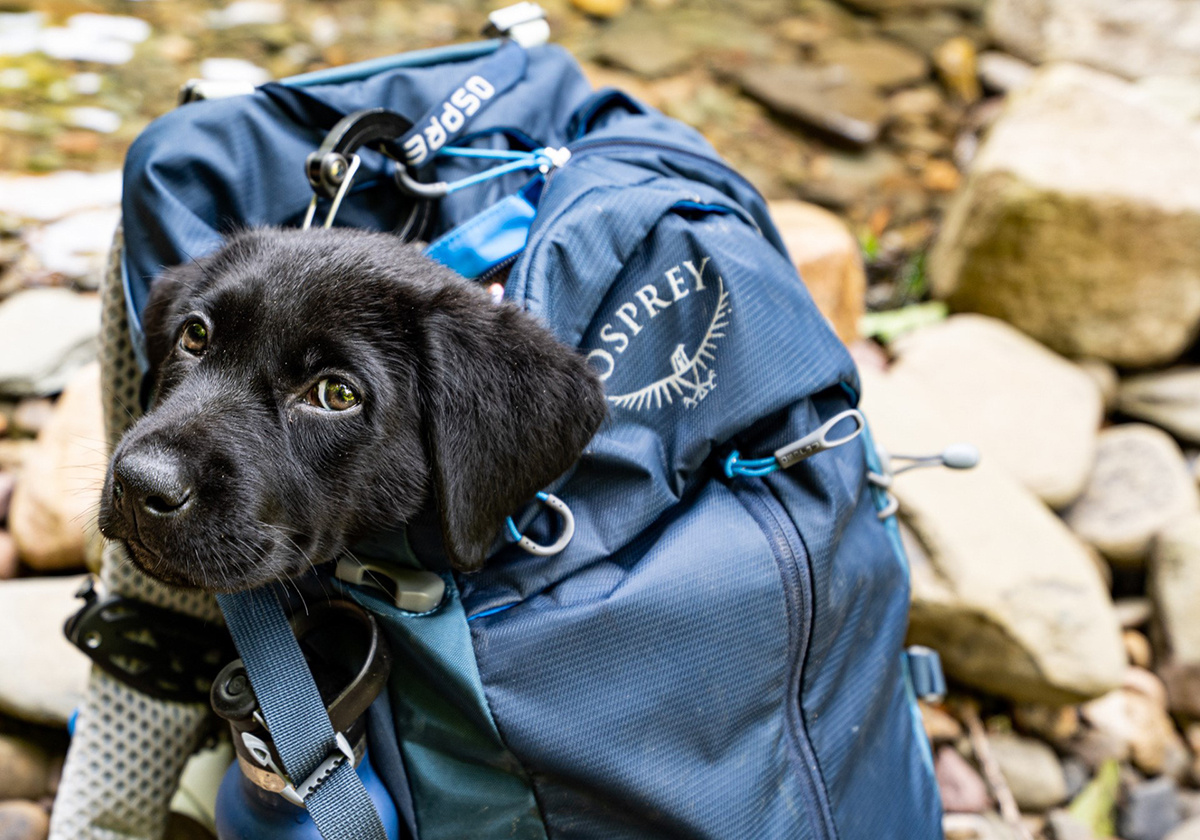 Clean your backpack