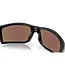 Oakley Gibston XL Glasses