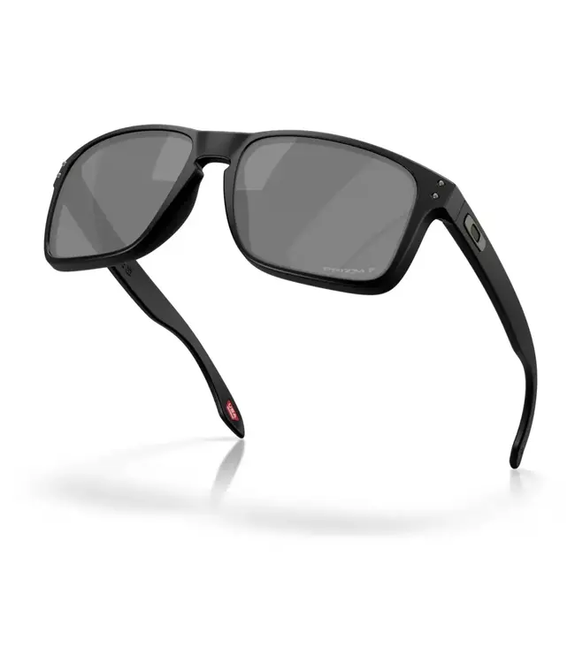 Oakley Holbrook XXL Glasses