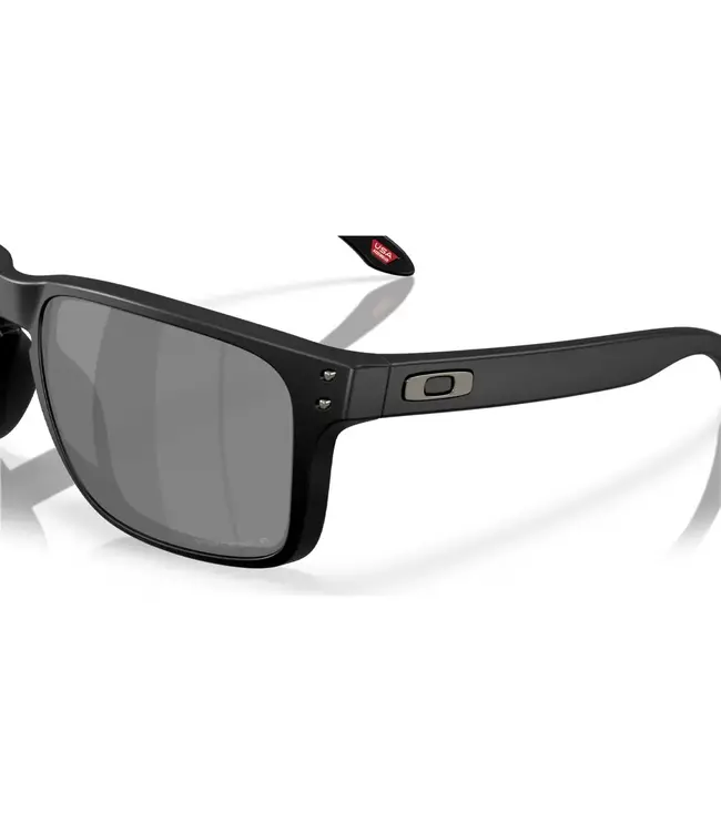 Oakley Holbrook XXL Glasses