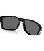 Oakley Holbrook XL Glasses