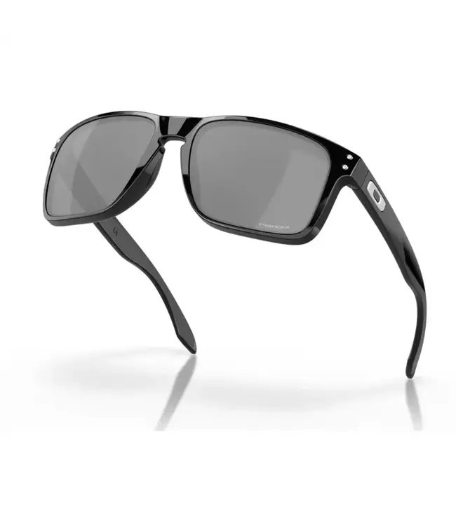 Oakley Holbrook XL Glasses