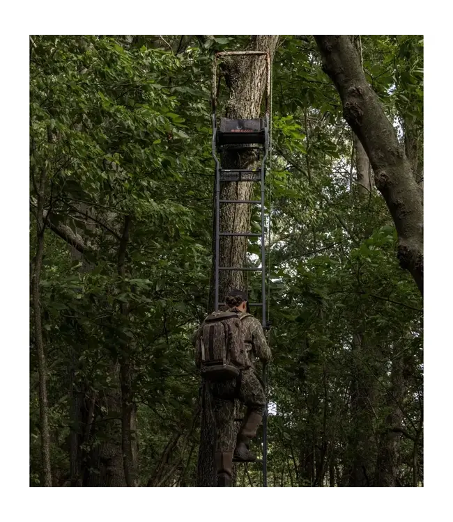 Big Game Warrior DXT Ladderstand