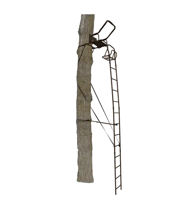 Big Game Warrior DXT Ladderstand