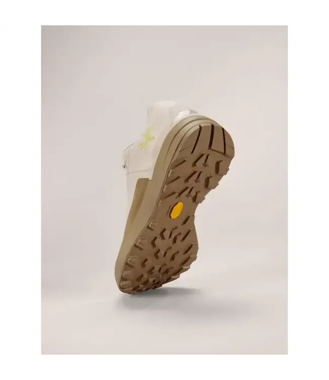 Arc'teryx Men's Kopec GTX Shoe