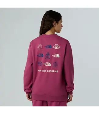 THE NORTH FACE The North Face Women’s Outdoor Graphic Sweatshirt