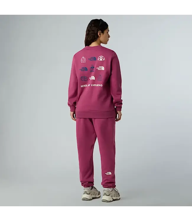The North Face Women’s Outdoor Graphic Sweatshirt