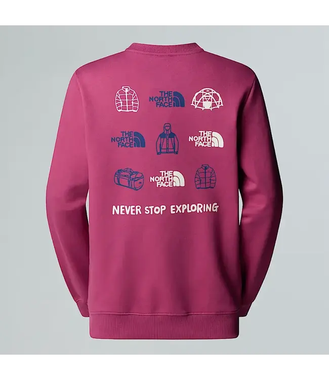 The North Face Women’s Outdoor Graphic Sweatshirt