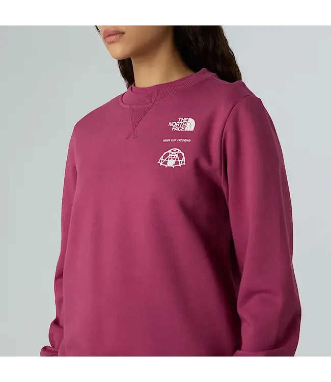 The North Face Women’s Outdoor Graphic Sweatshirt
