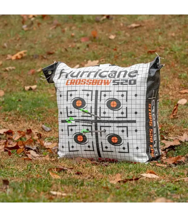 Field Logic Harricane Crossbow H-12 Bag Targets