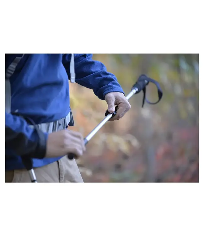 Alps Outdoorz Journey Trekking Pole