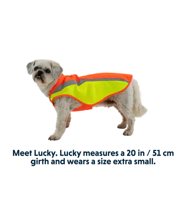 Ruffwear Lumenglow Hi-Vis Dog Jacket