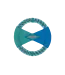 Ruffwear Pacific Ring Toy