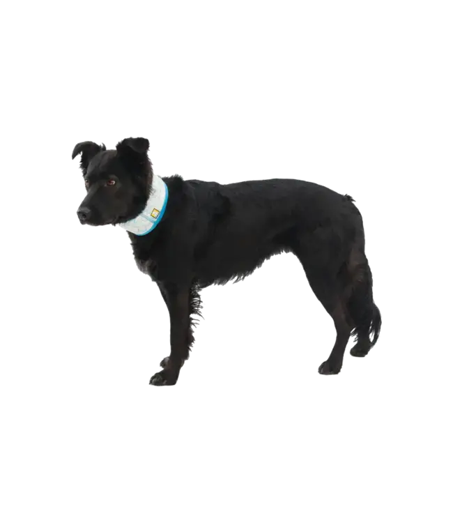 Ruffwear Swamp Cooler Cooling Neck Gaiter