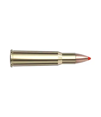 HORNADY Hornady 348 WIN 200 gr FTX LEVERevolution Rifle Ammunition