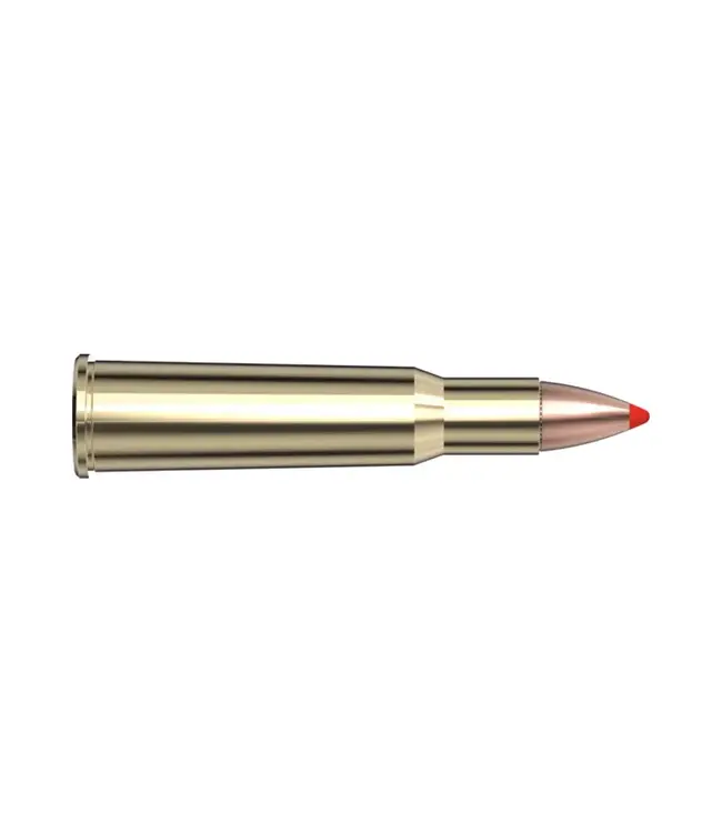 Hornady 348 WIN 200 gr FTX LEVERevolution Rifle Ammunition