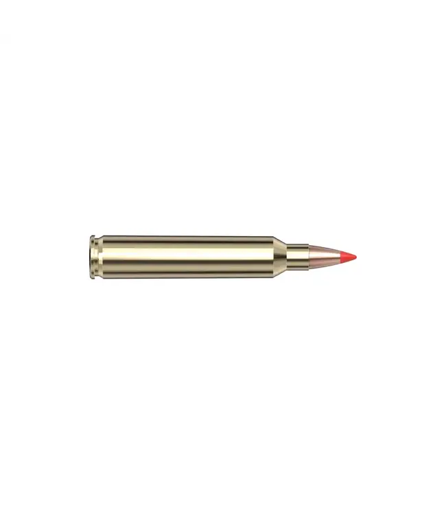Hornady 204 Ruger 32 gr V‑MAX Superformance Rifle Ammunition