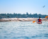 Paddle Smart, Paddle Safe: A Guide to Staying Safe on the Water