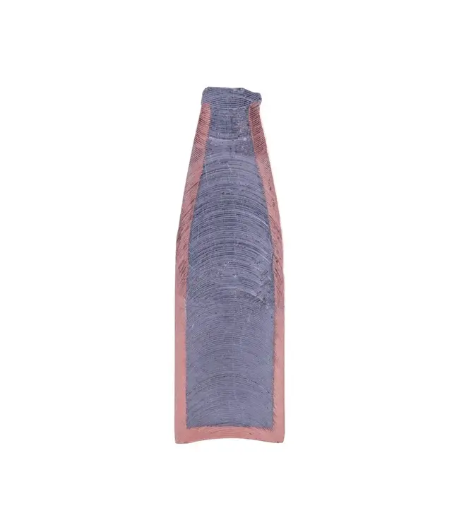 Federal HammerDown Rifle Ammunition - 30-30 Win, 150 Grain, Bonded Soft Point, 2390 fps