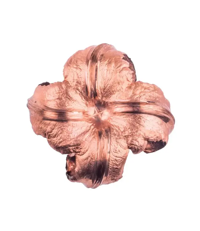 Federal Barnes Triple-Shock X Bullet (TSX) - 30-06 Springfield, 180 Grain, 2700 fps