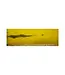 Federal Personal Defense Hydra-Shok Ammunition - 45 Auto, 230 Grain, 900 fps