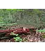 Rack Stacker Fury Bricks Acorn Attractant