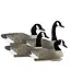 Higdon Full-Size Goose Floater - 4 pk, 16 lbs