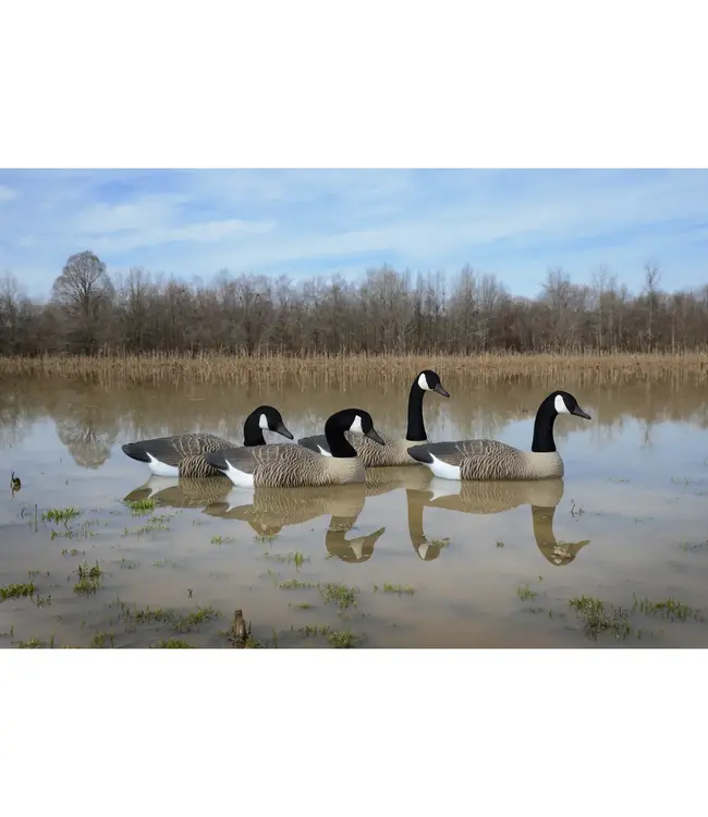 Higdon Full-Size Goose Floater - 4 pk, 16 lbs