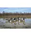 Higdon Full-Size Goose Floater - 4 pk, 16 lbs