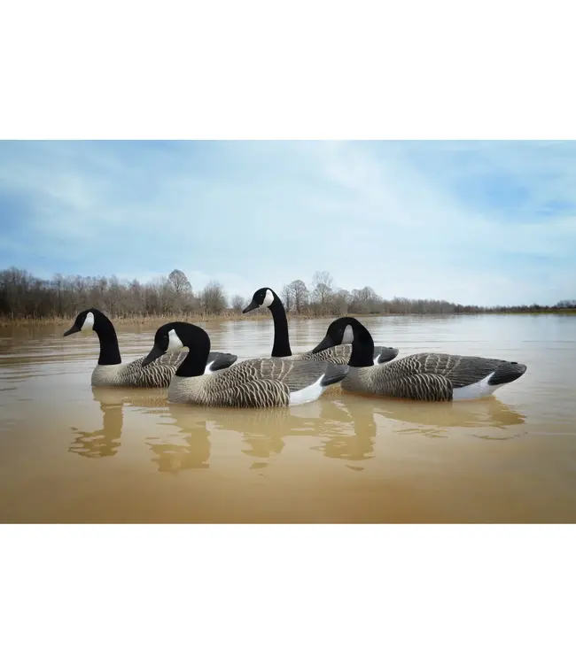 Higdon Full-Size Goose Floater - 4 pk, 16 lbs