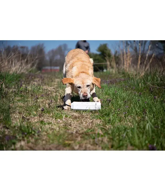 Mo Marsh Dog Training Bumper - Medium, Single