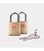 Travelon Set of 2 TSA Accepted Padlocks