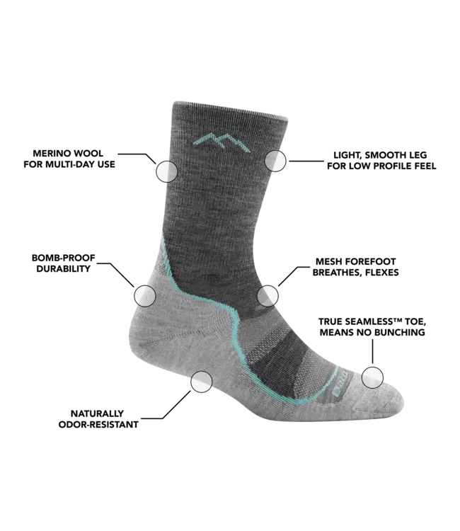 Darn Tough Women's Light Hiker Micro Crew Lightweight Hiking Sock