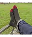 Darn Tough Men's Solid Crew Lightweight Lifestyle Socks