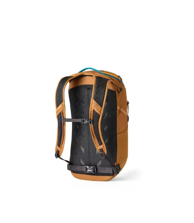 Gregory Nano 24 Day Pack