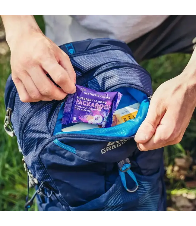 Gregory Miko 20 Day Pack