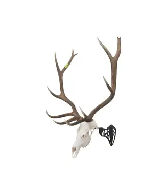 THE ALLEN COMPANY Allen Company EZ Mount Magnum Skull Hanger, Black