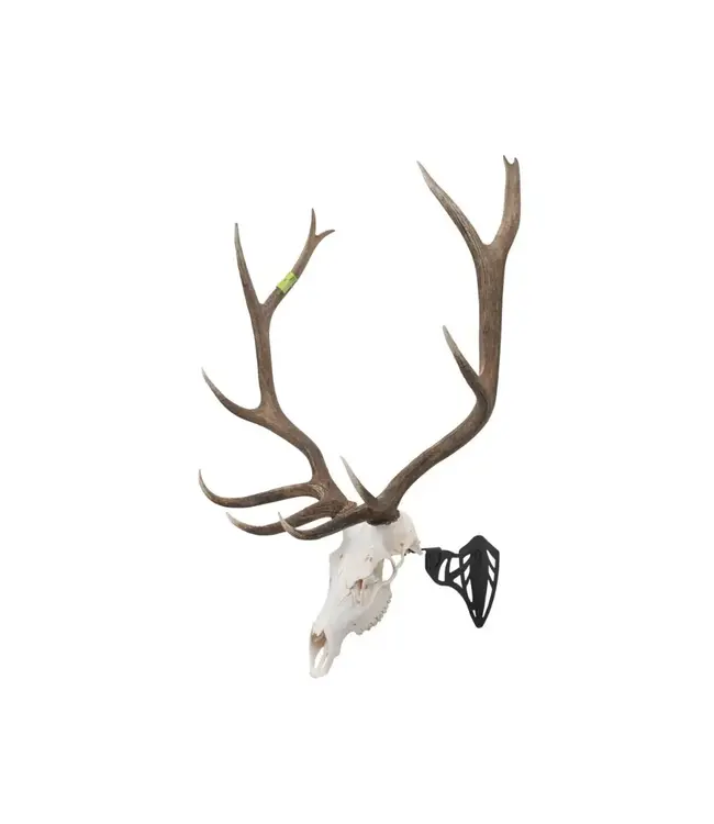 Allen Company EZ Mount Magnum Skull Hanger, Black