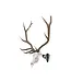 Allen Company EZ Mount Magnum Skull Hanger, Black