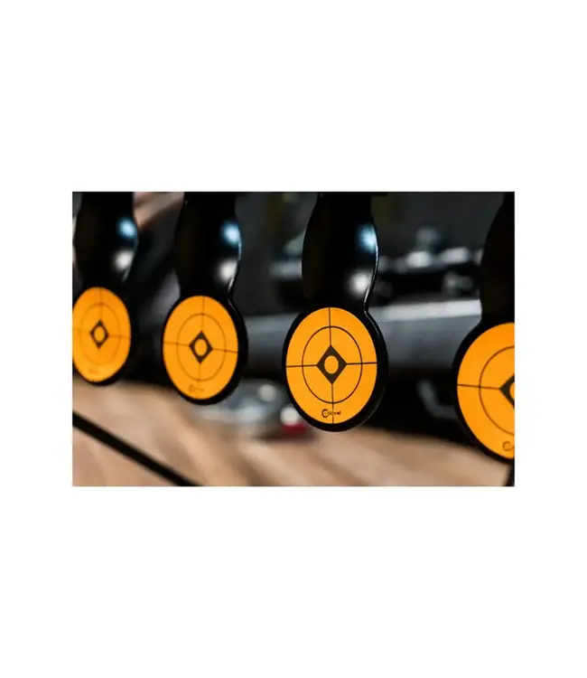 Caldwell Airgun Resetting Target