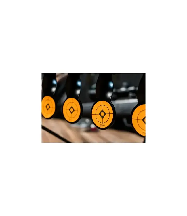 Caldwell Rimfire Resetting Target