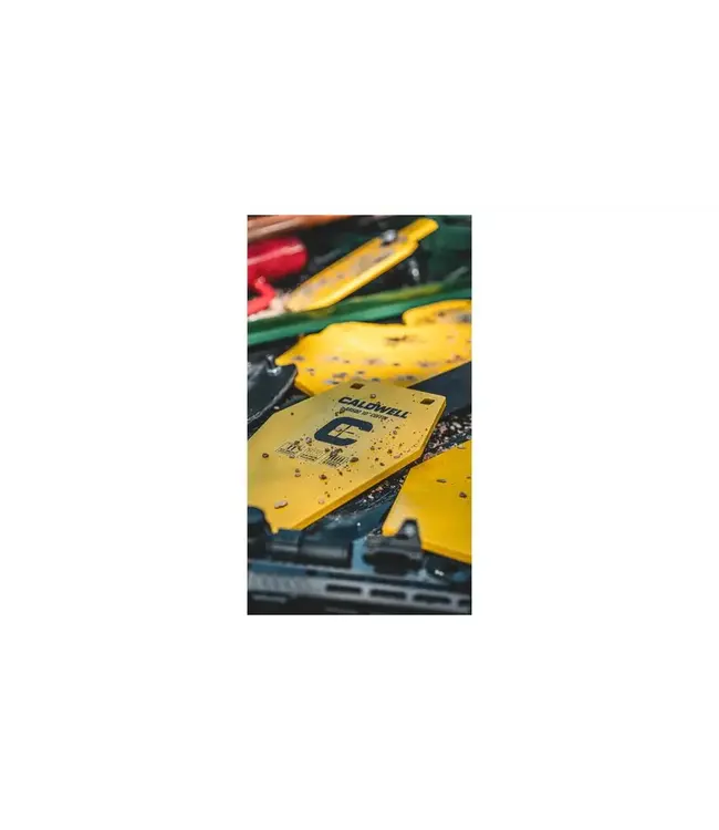 Caldwell AR500 10" Coffin Target