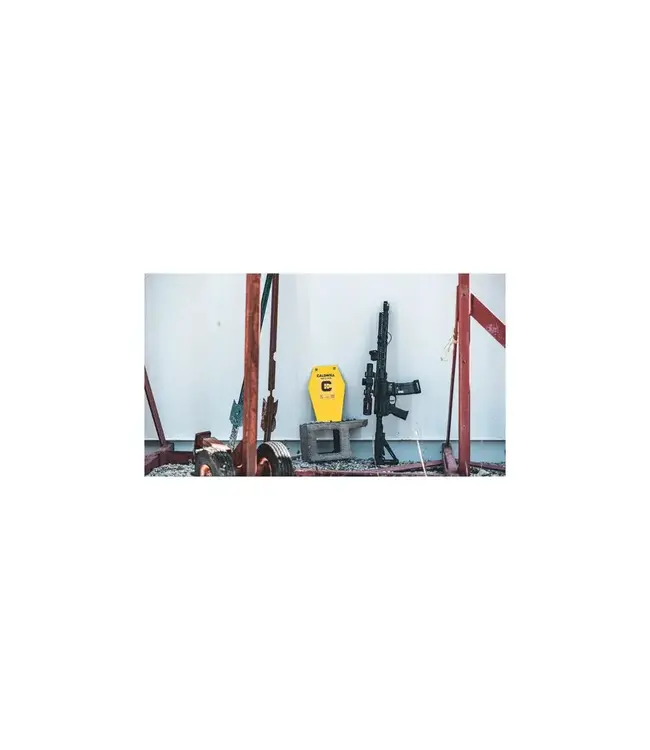 Caldwell AR500 10" Coffin Target