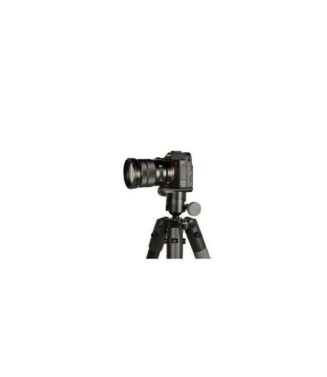 Bog-Pod Infinite Tripod