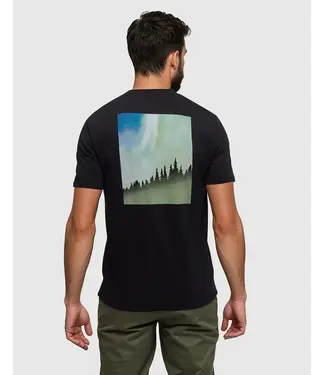 TENTREE Tentree Men's Northern Aurora T-Shirt