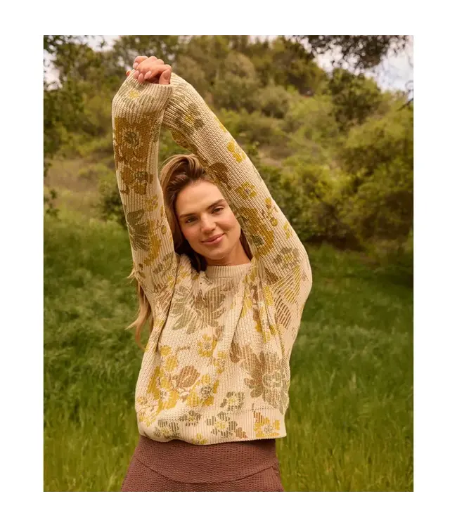 Toad & Co Women's Bianca Pattern Crew Sweater