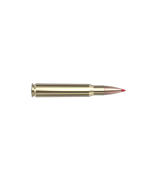 Hornady 30‑06 SPRG 165 gr. CX Superformance Ammo