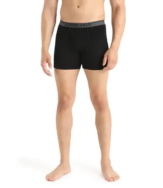ICEBREAKER Icebreaker Men's Merino 150 Anatomica Boxers wFly
