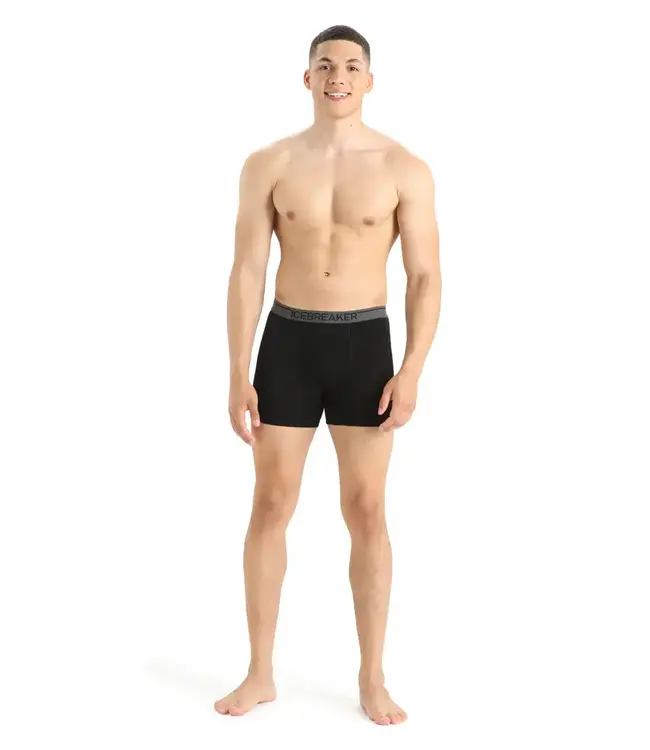 Icebreaker Men's Merino 150 Anatomica Boxers wFly
